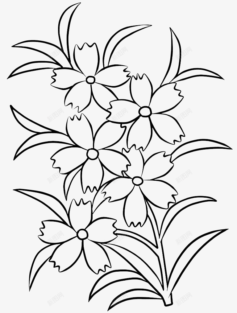 美丽的花朵简笔画psd免抠素材_新图网 https://ixintu.com 叶子 植物 简笔画 美丽的 花卉 花朵 花瓣