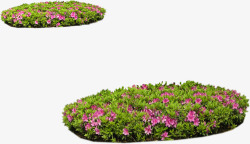 粉色小花景观草坪装饰素材