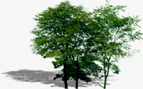 创意摄影绿色的大树合成png免抠素材_新图网 https://ixintu.com 创意 合成 大树 摄影 绿色