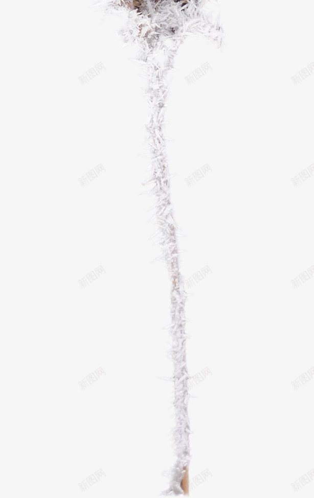 白雪树枝png免抠素材_新图网 https://ixintu.com 冬季 冬季剪辑素材 冬季树枝 冬季植物 白雪树枝