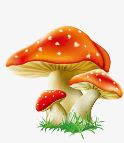 红蘑菇素材