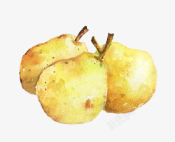 卡通苹果梨水彩水果高清图片