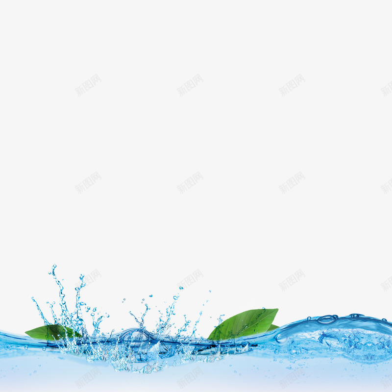水效果元素绿叶漂浮png免抠素材_新图网 https://ixintu.com 元素 效果 漂浮 绿叶