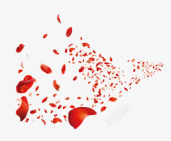 一片红色枫叶一片红色花瓣高清图片