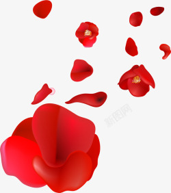 花朵花瓣漂浮矢量图素材