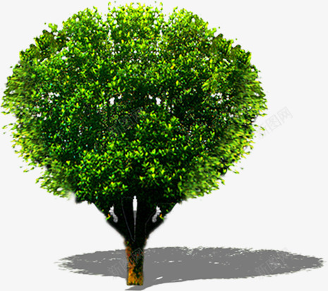 绿色修剪后的大树png免抠素材_新图网 https://ixintu.com 修剪 大树 绿色