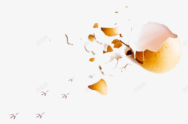 破碎的鸡蛋壳png免抠素材_新图网 https://ixintu.com 小鸡脚印 破碎 装饰素材 鸡蛋壳