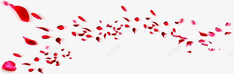 红色漂浮放射花瓣png免抠素材_新图网 https://ixintu.com 放射 漂浮 红色 花瓣 设计
