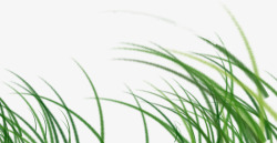 被风吹的小草手绘绿色微风吹拂小草植物高清图片