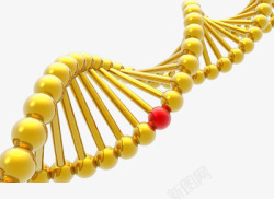 DNA分子结构图金色螺旋DNA高清图片