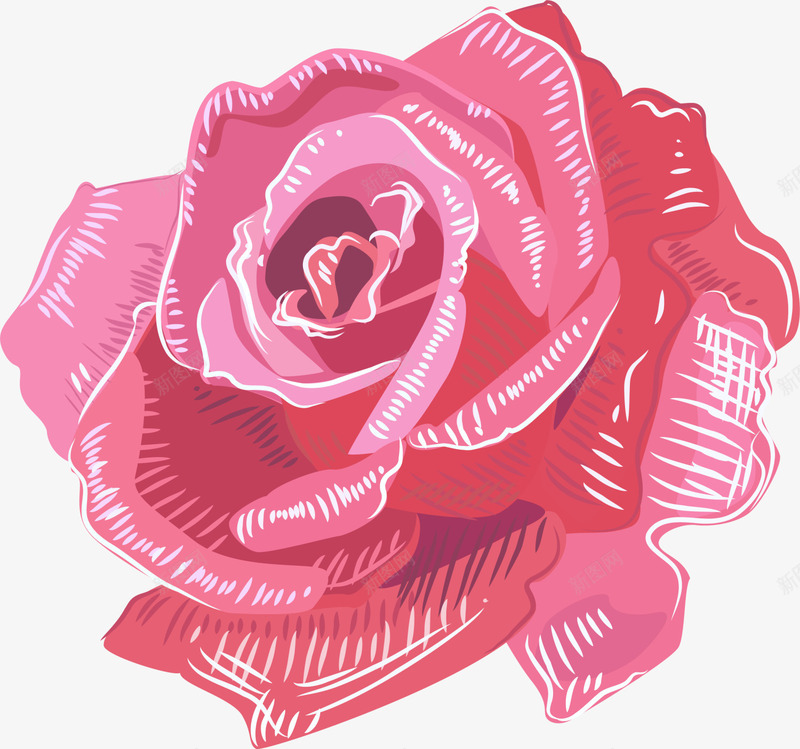 粉色线条花朵png免抠素材_新图网 https://ixintu.com 情人节 清新花蕊 粉色花朵 线条鲜花 美丽玫瑰 装饰图案