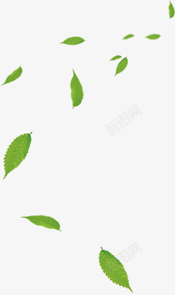 绿色美景树叶装饰漂浮png免抠素材_新图网 https://ixintu.com 树叶 漂浮 绿色 美景 装饰