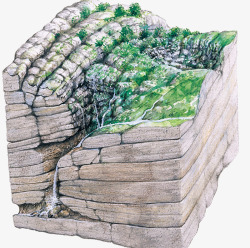 自然地质学岩石森林高清图片