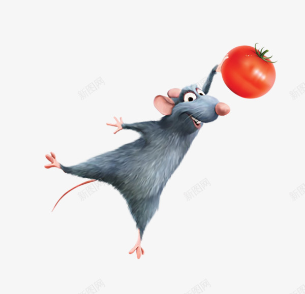 手绘拿番茄的灰色老鼠png免抠素材_新图网 https://ixintu.com 卡通老鼠 坐着抬起一只爪子的 垫脚 手绘老鼠 拿番茄的老鼠 灰色老鼠 老鼠抬脚