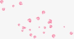 粉红花瓣玫瑰花漂浮素材