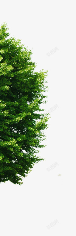 合成创意绿色的大树效果造型园林素材