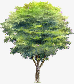 手绘夏季茂密大树素材