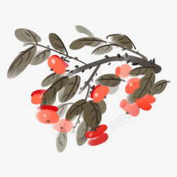 中国风手绘成熟柿子水墨素材