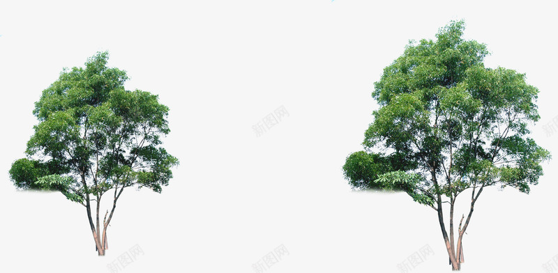 大树树木树林png免抠素材_新图网 https://ixintu.com 大树 树木 树林 设计