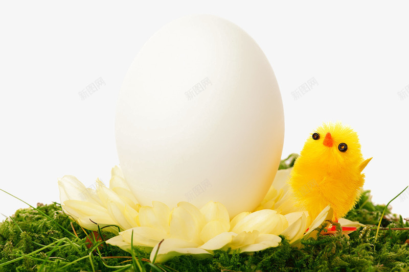草丛中的鸡蛋png免抠素材_新图网 https://ixintu.com 动物元素 孵化 小鸡 白色鸡蛋 绿色草丛