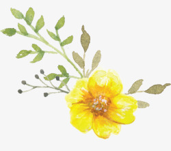 手绘水彩黄色小花素材