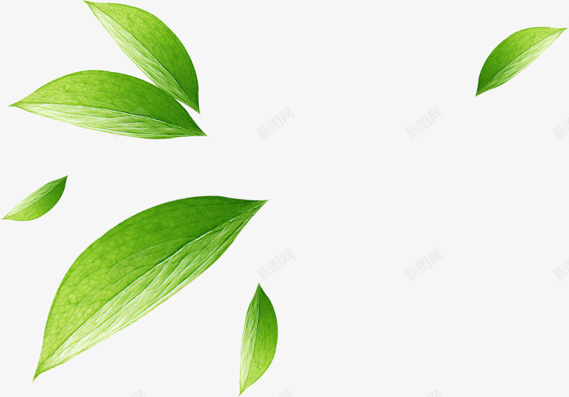 绿色水彩树叶漂浮png免抠素材_新图网 https://ixintu.com 树叶 水彩 漂浮 绿色