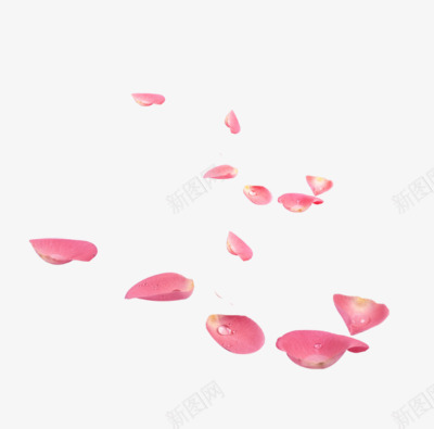 漂浮粉色玫瑰花瓣png免抠素材_新图网 https://ixintu.com 漂浮素材 玫瑰 粉色 花瓣素材