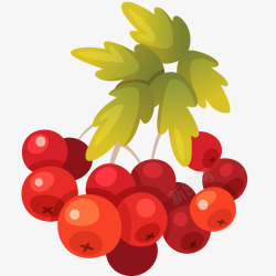 感恩节新鲜浆果插画矢量图高清图片