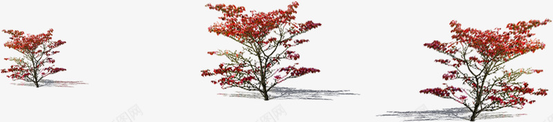 红色创意环境梅花树png免抠素材_新图网 https://ixintu.com 创意 环境 素材 红色 花树