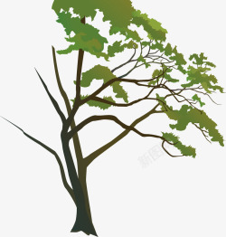 手绘自然大树插画矢量图素材