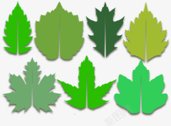 绿油油的树叶绿色的叶子矢量图高清图片