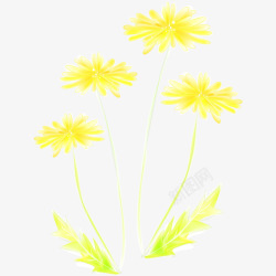 手绘水彩黄色菊花素材
