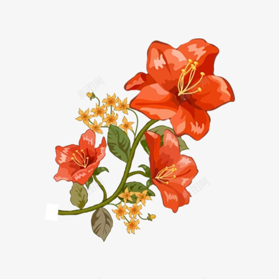 卡通盛开的橙色的花png免抠素材_新图网 https://ixintu.com 卡通手绘 植物 橙色的 盛开的 绿叶 美丽的花朵