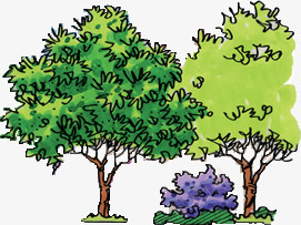 合成创意绿色的树木大树png免抠素材_新图网 https://ixintu.com 创意 合成 大树 树木 绿色