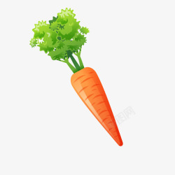 卡通蔬菜食材胡萝卜素材