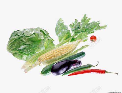 手绘蔬菜卡通食物精品清新图标图标