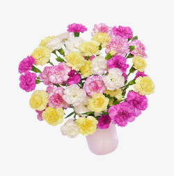 花朵母情节贴标母情节美丽花朵高清图片