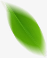 绿色模糊树叶漂浮装饰png免抠素材_新图网 https://ixintu.com 树叶 模糊 漂浮 绿色 装饰