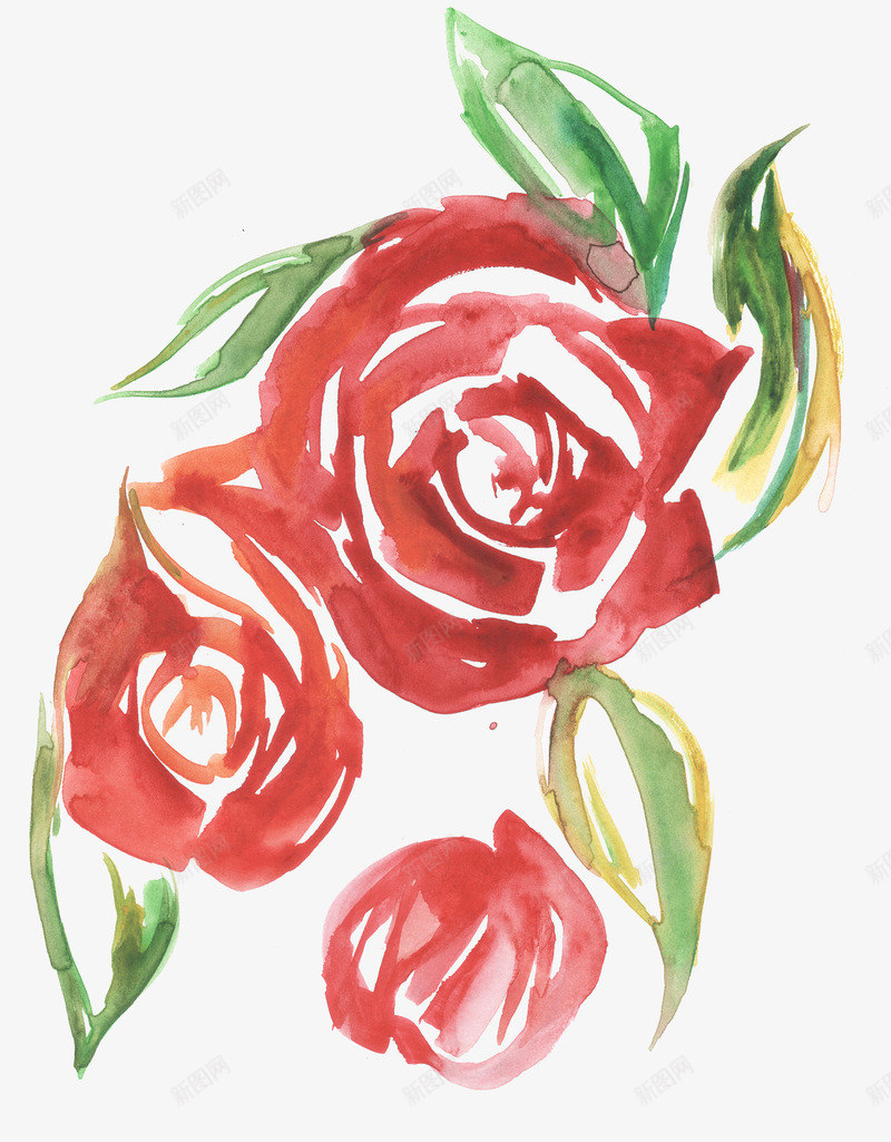 红色的花朵美丽水彩png免抠素材_新图网 https://ixintu.com 创意 唯美 彩色 水彩 玫瑰 红花 线条 绿叶 花卉 花朵