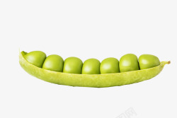 平面果实素材饱满绿色豌豆实物高清图片