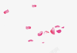 情人节玫瑰花瓣漂浮素材