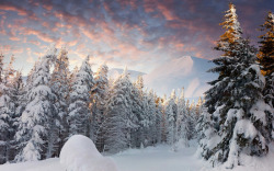 冬季野外景观素材