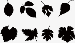 枫叶点缀树叶元素集合高清图片