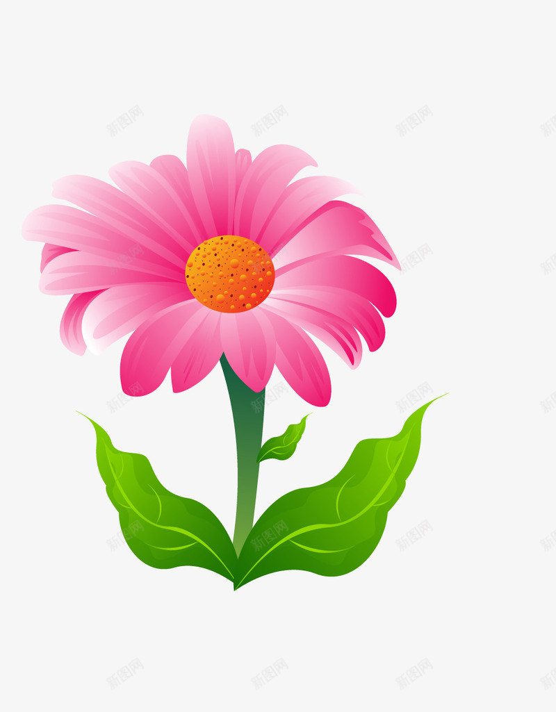 粉色花卉png免抠素材_新图网 https://ixintu.com 植物 美丽 花卉 花朵 菊花