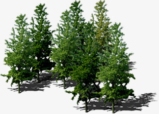 创意摄影环境渲染大树png免抠素材_新图网 https://ixintu.com 创意 大树 摄影 渲染 环境
