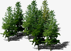 创意摄影环境渲染大树素材