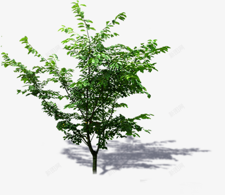 绿色创意环境大树png免抠素材_新图网 https://ixintu.com 创意 大树 环境 素材 绿色