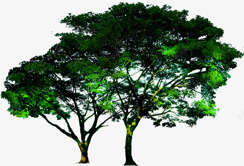 创意摄影合成效果绿色大树png免抠素材_新图网 https://ixintu.com 创意 合成 大树 摄影 效果 绿色