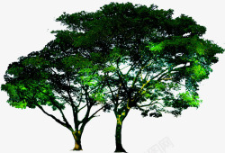 创意摄影合成效果绿色大树素材