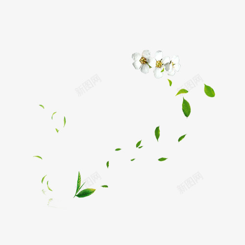 干净飞舞白色花瓣绿色树叶png免抠素材_新图网 https://ixintu.com 干净 清新自然 白色花瓣 绿色树叶 飞舞
